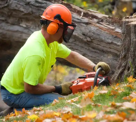 tree services Great River